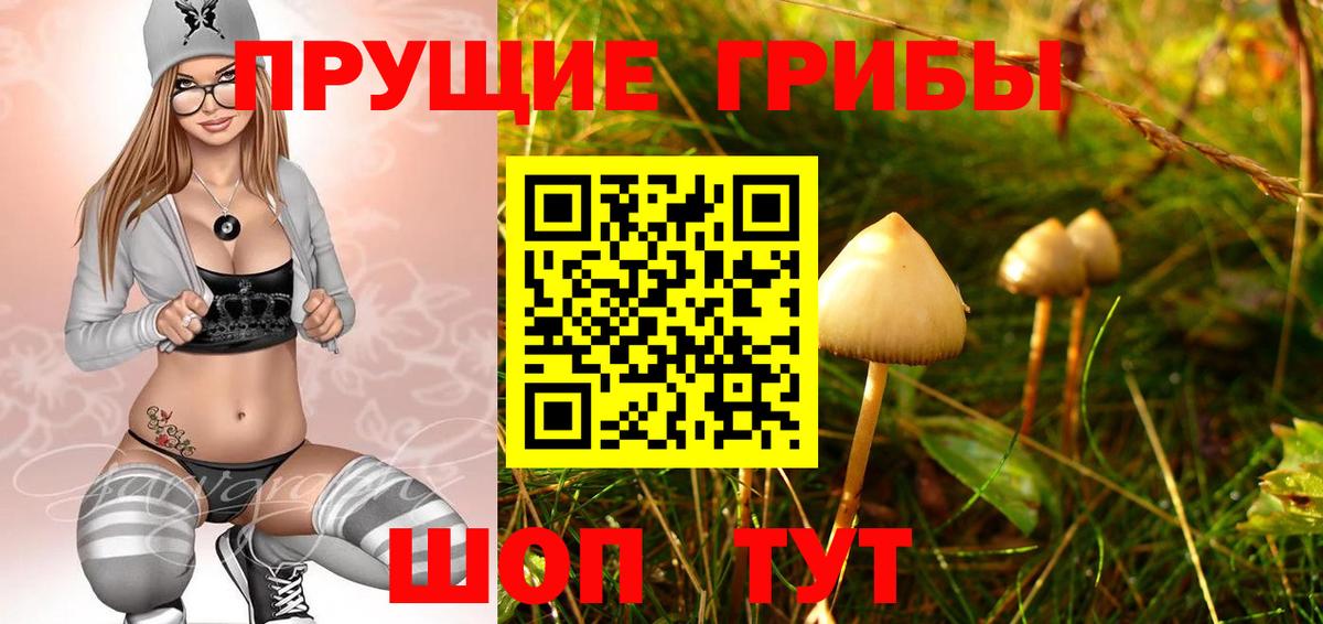 Галлюциногенные грибы мухоморы  Псилоцибиновые грибы Psilocybe  Ливны  Вход с VPN 